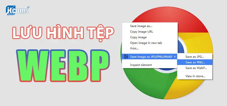 tải hình tệp webp